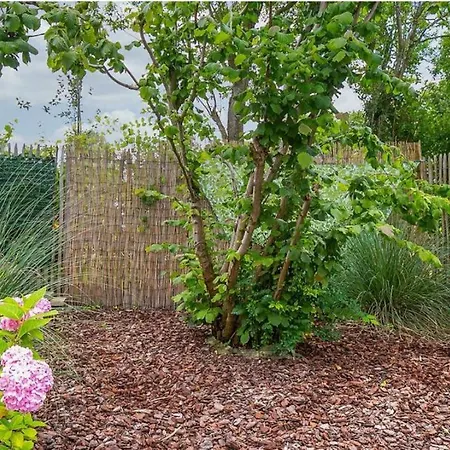 Rekerlanden 119 De Amandelbloesem פארק נופש