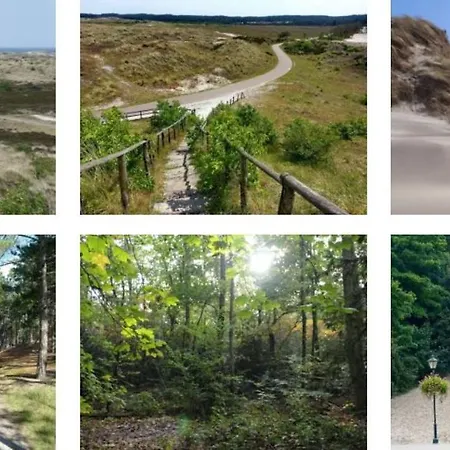 Rekerlanden 119 De Amandelbloesem Schoorldam