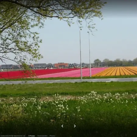 Rekerlanden 119 De Amandelbloesem